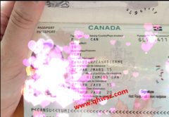 深圳加拿大生子客户宝宝办理加国护照