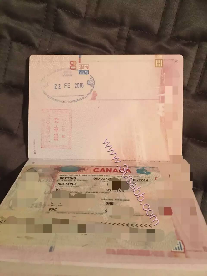 加拿大生子客户中国护照