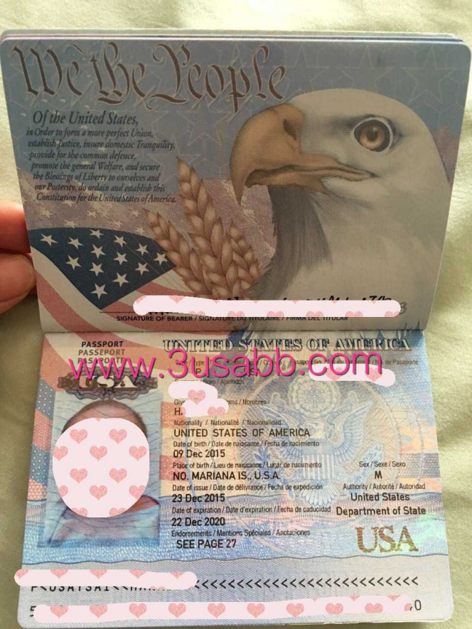 美国生子客户爱宝护照
