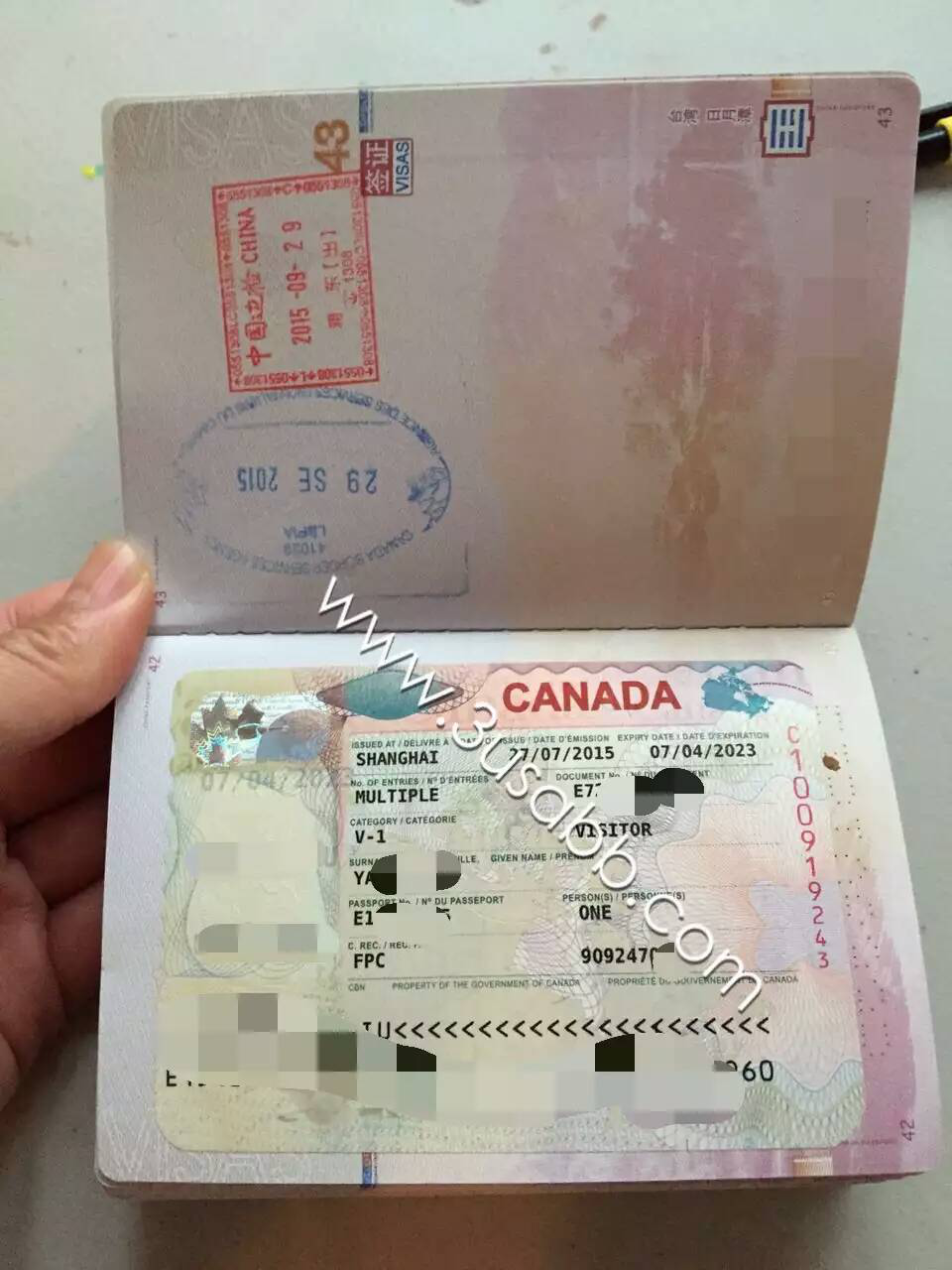 加拿大生子客户visa照