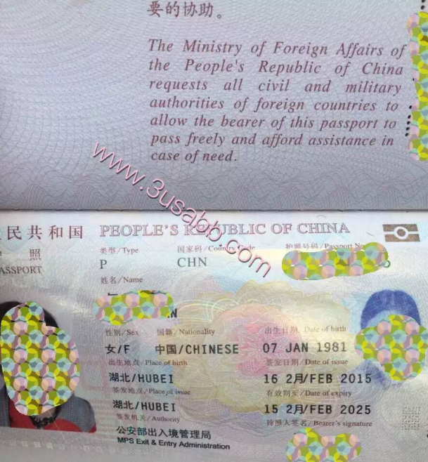 加拿大生子客户中国护照