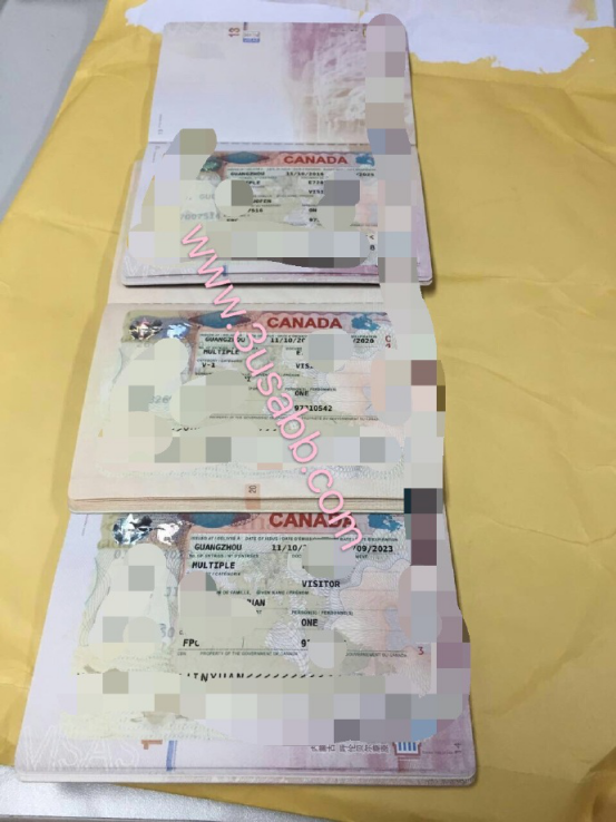 加拿大生子三个客户的visa照