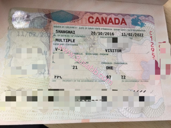 加拿大生子客户顺利拿下visa