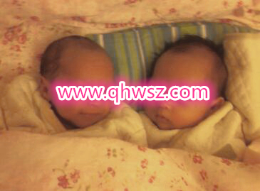 加拿大生子客户双胞胎宝宝照