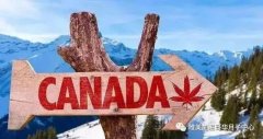 2019【加拿大生子】 | 选多伦多还是温哥华？