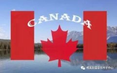 2019无数条去【加拿大生孩子】的理由，总有一条能让你心动！