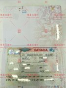 恭喜北京L夫妇顺利拿到加拿大签证