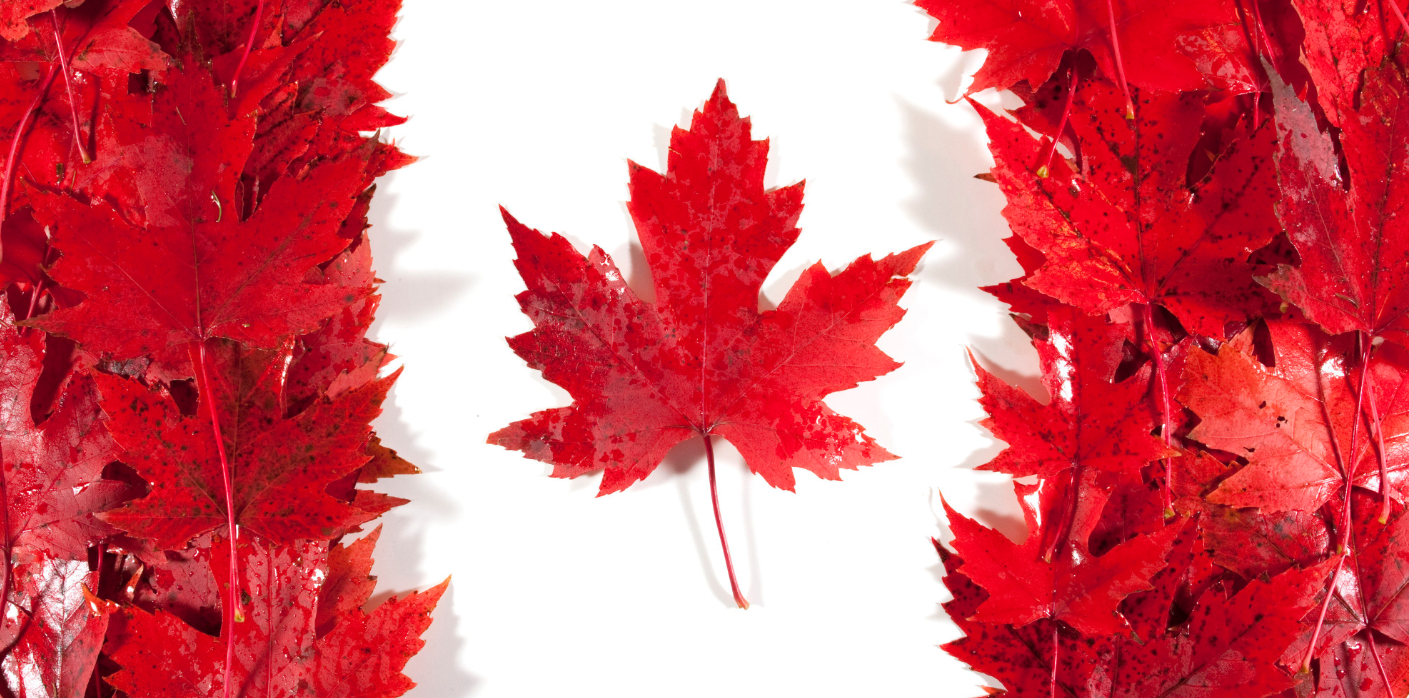 加拿大产子费用是多少？主要从六个方面出发！