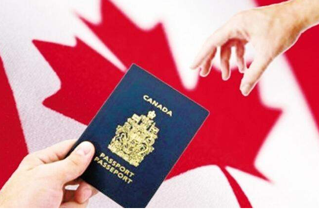 加拿大生子攻略：去加拿大生子要准备什么？