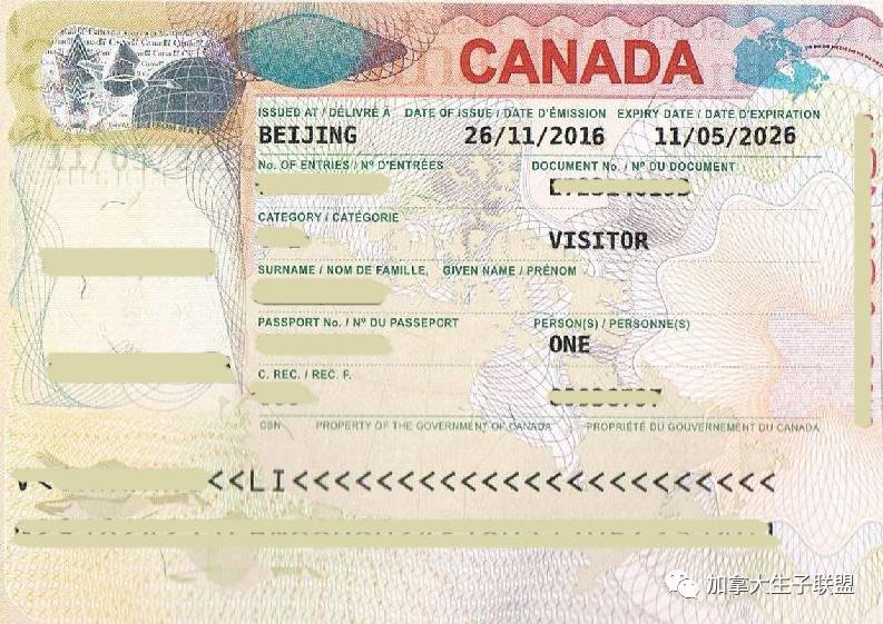 加拿大生子visa