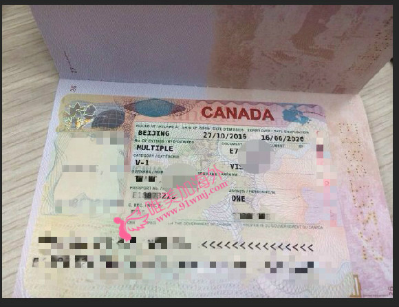 加拿大生子客户visa