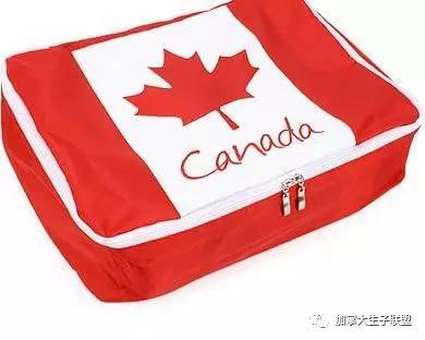赴加拿大生子旅行袋